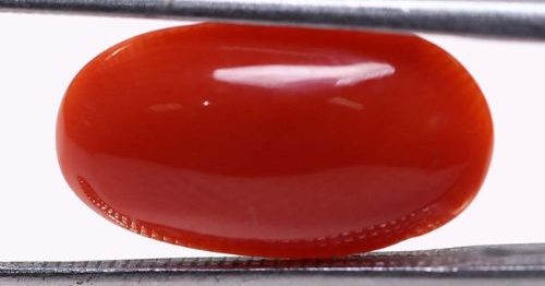 Coral 3.44 Ct.