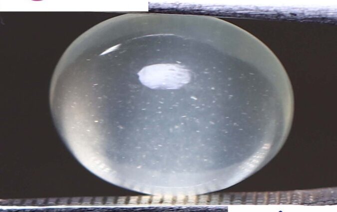 Moonstone 2.94 Ct.