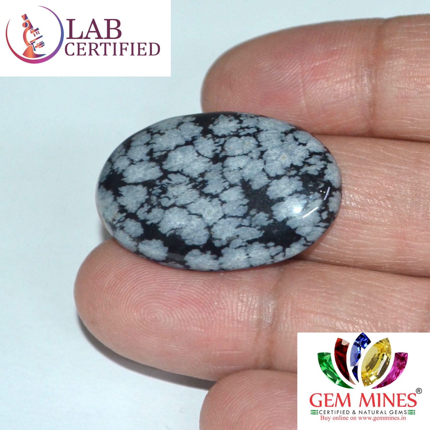 Obsidian 24.61 Ct.