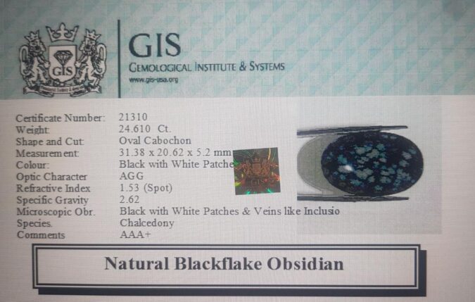 Obsidian 24.61 Ct.