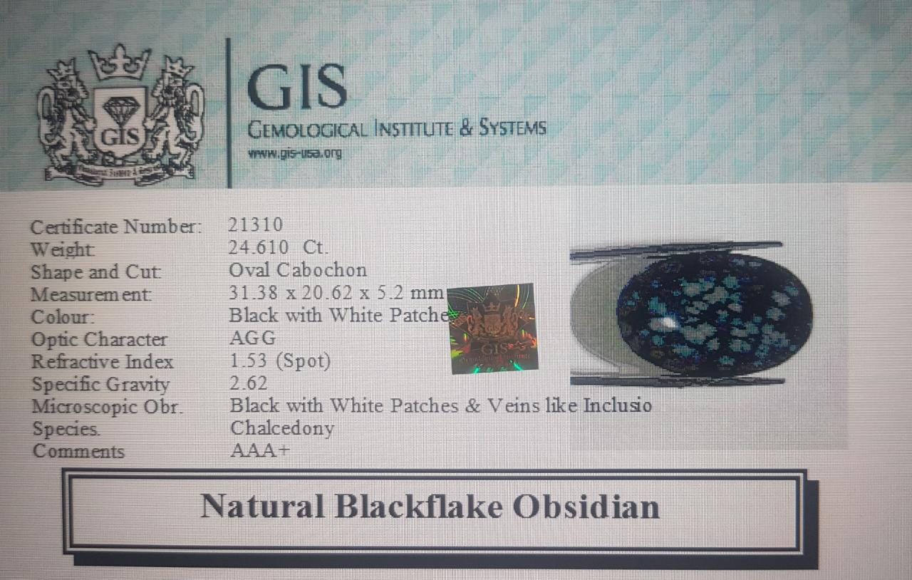 Obsidian 24.61 Ct.