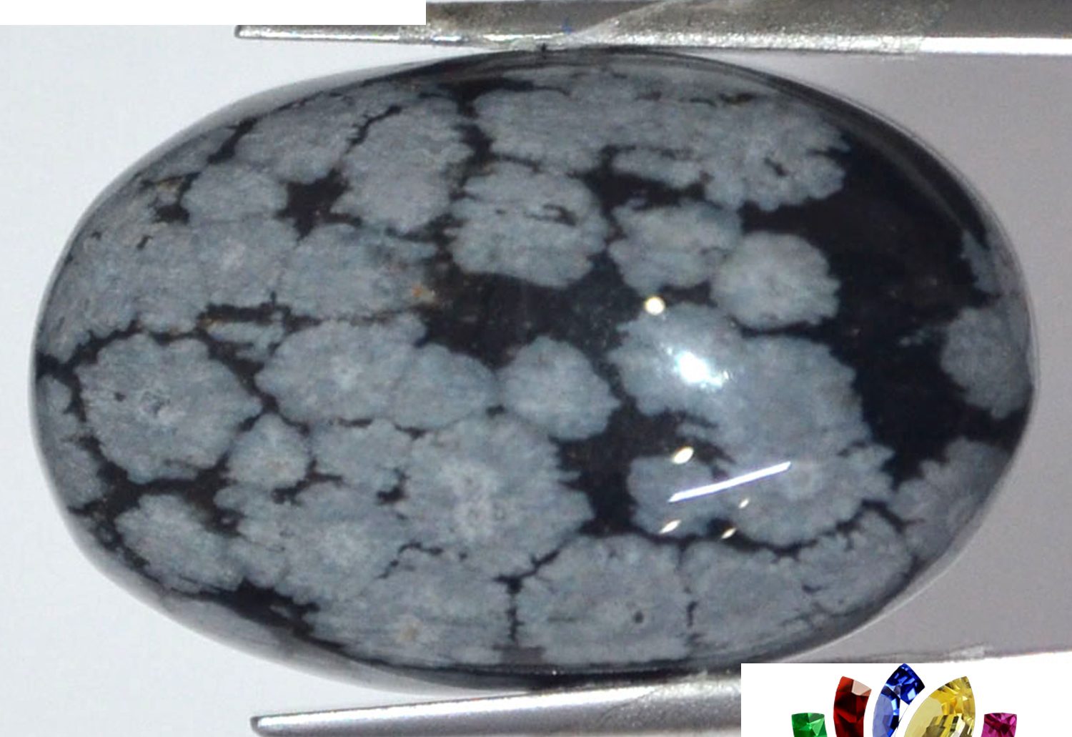 Obsidian 31.83 Ct.