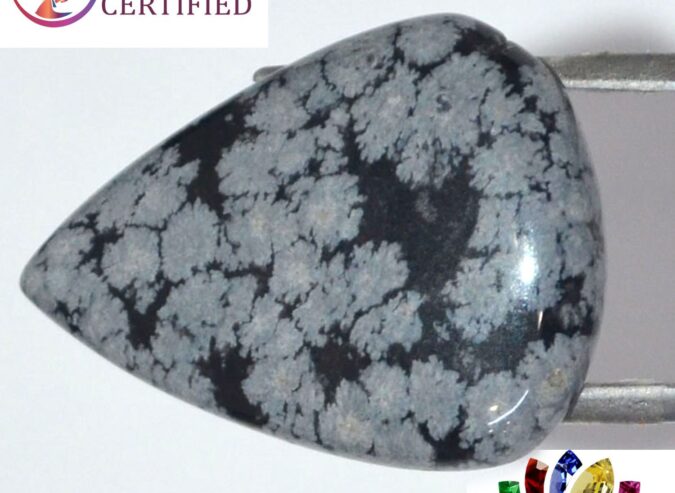 Obsidian 18.8 Ct.