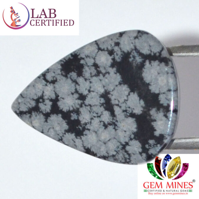 Obsidian 18.8 Ct.