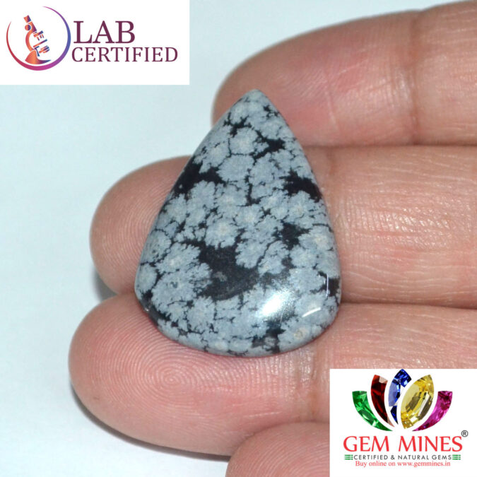 Obsidian 18.8 Ct.