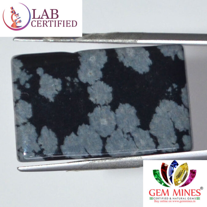 Obsidian 29.93 Ct.