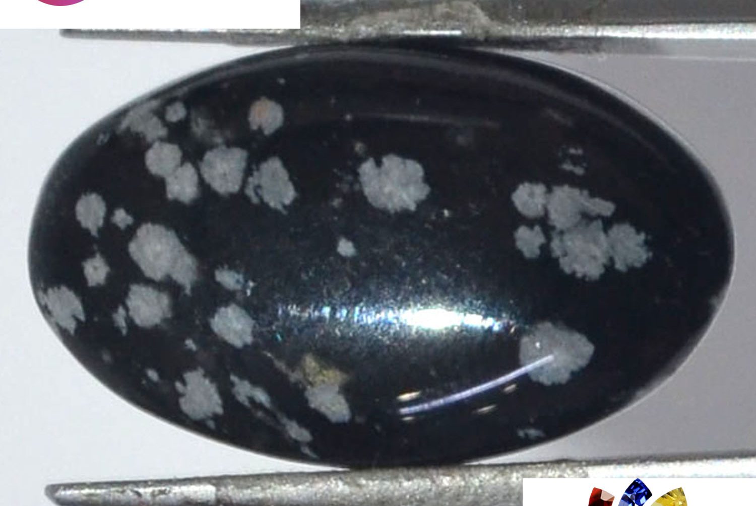 Obsidian 9.1 Ct.