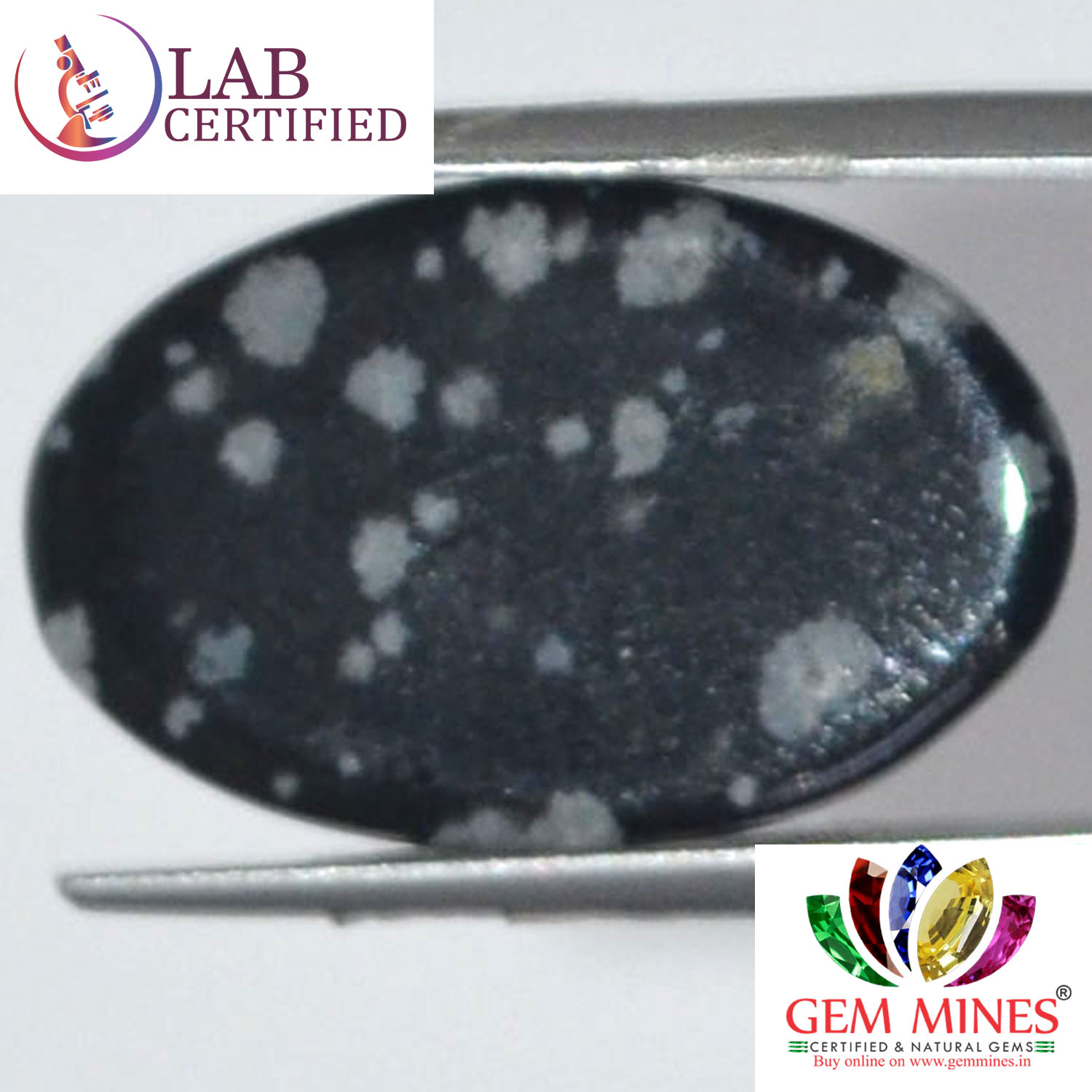 Obsidian 9.1 Ct.