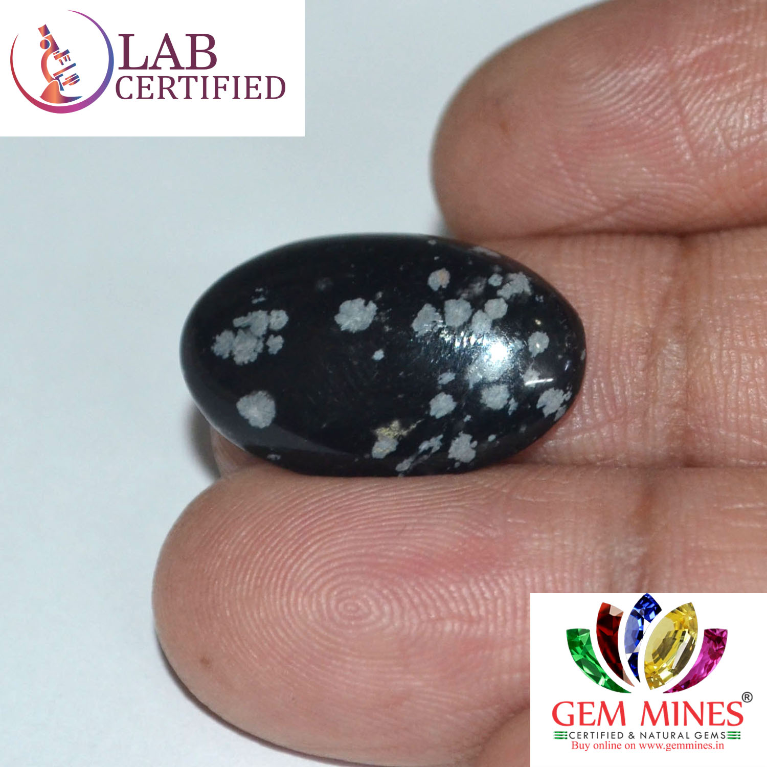 Obsidian 9.1 Ct.