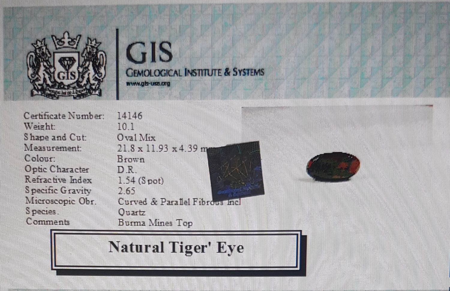Tiger's Eye 10.1 Ct.