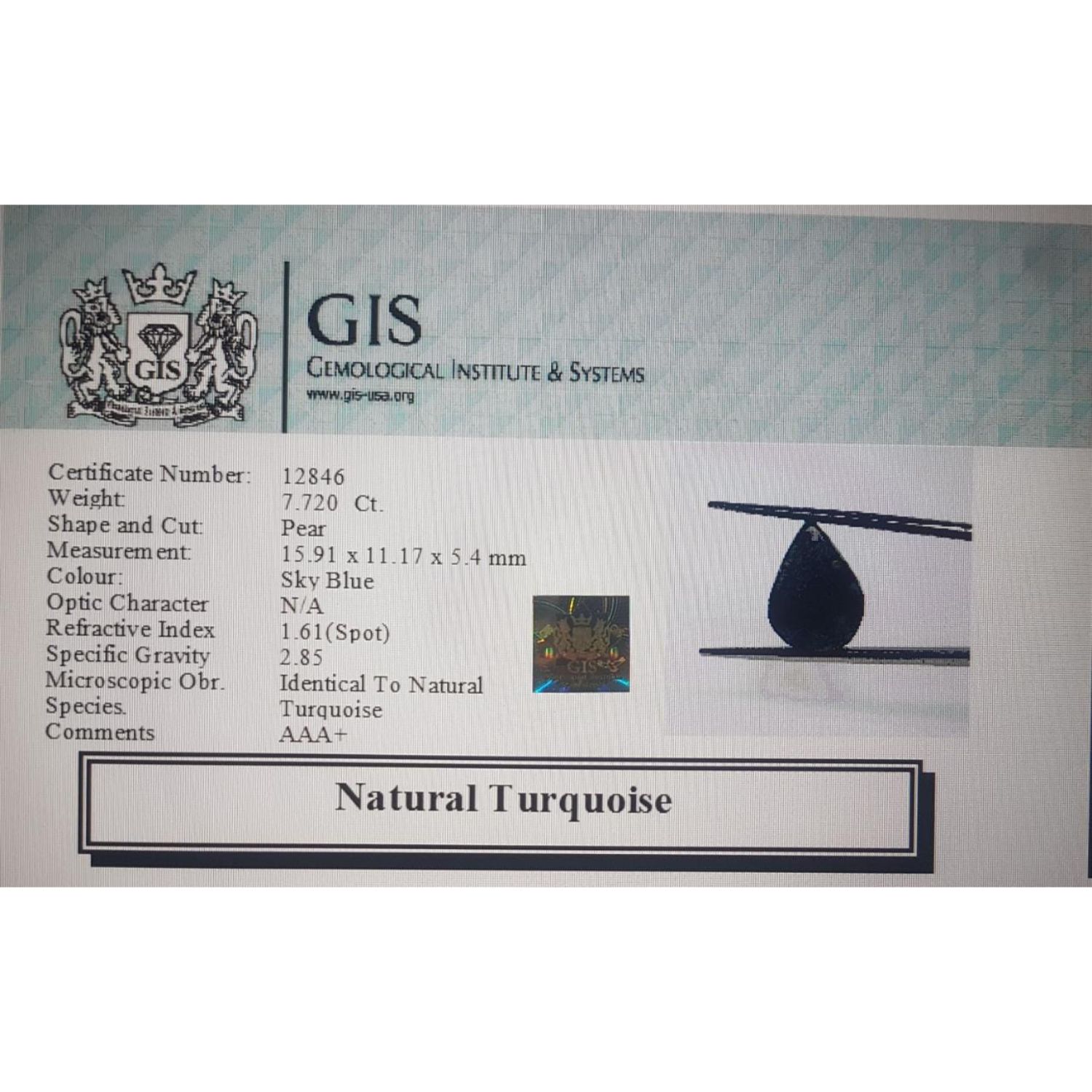 Turquoise (Irani) 7.72 Ct.