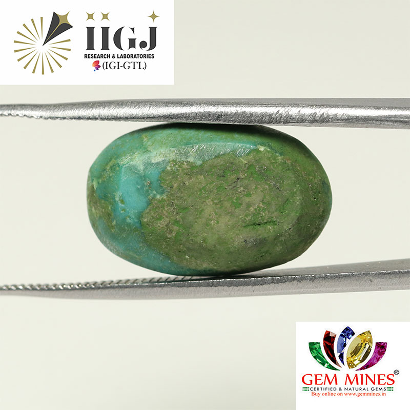 Turquoise 11.93 Ct.
