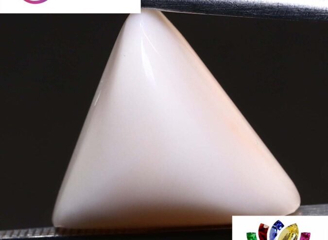 White Coral 10.77 Ct.