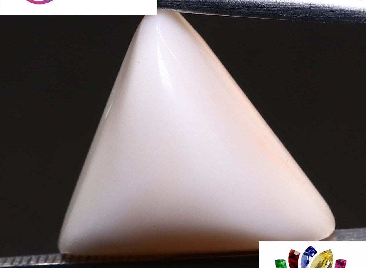 White Coral 10.77 Ct.