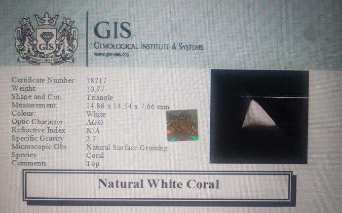White Coral 10.77 Ct.