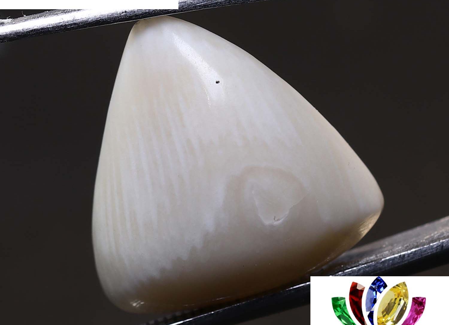 White Coral 9.15 Ct.