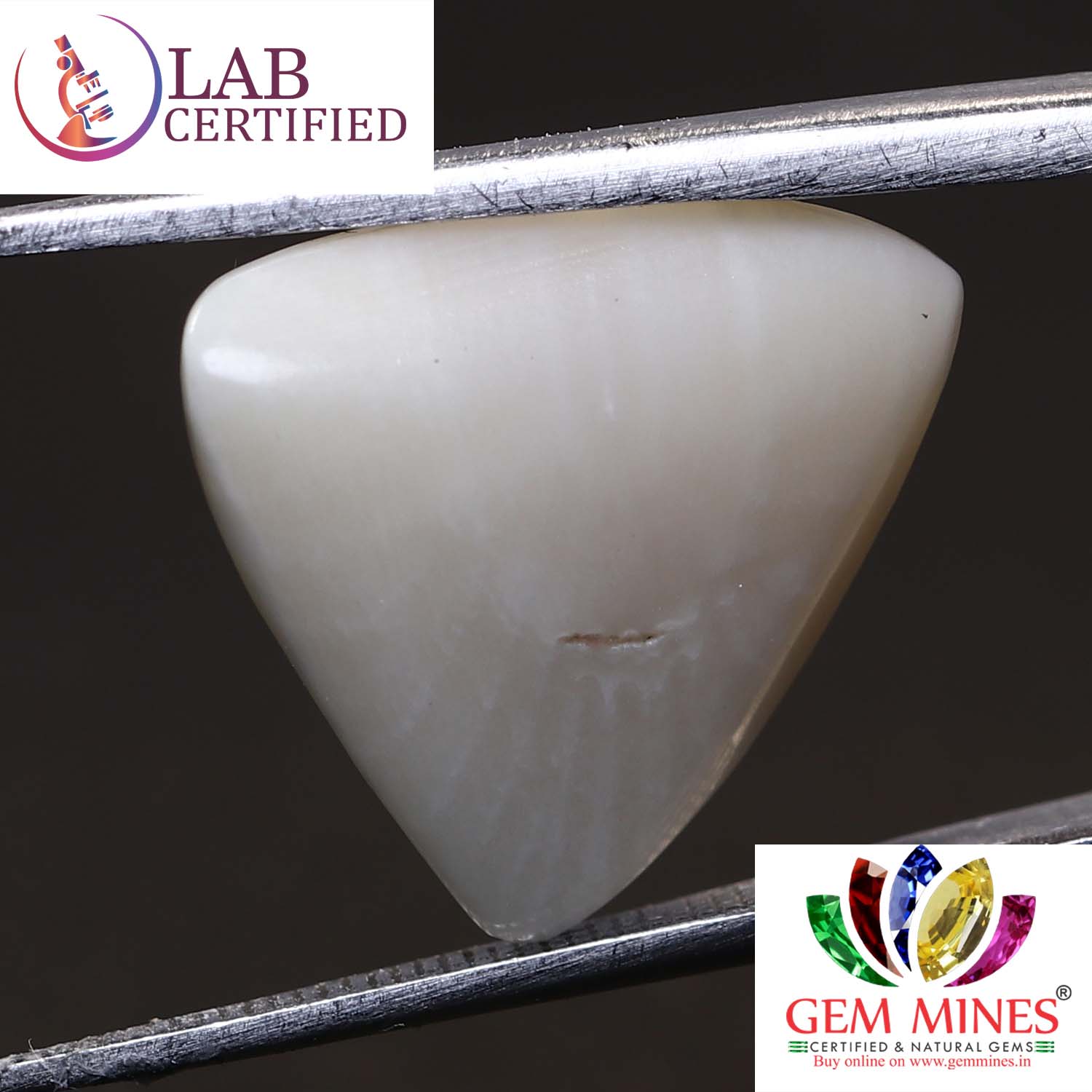 White Coral 9.15 Ct.