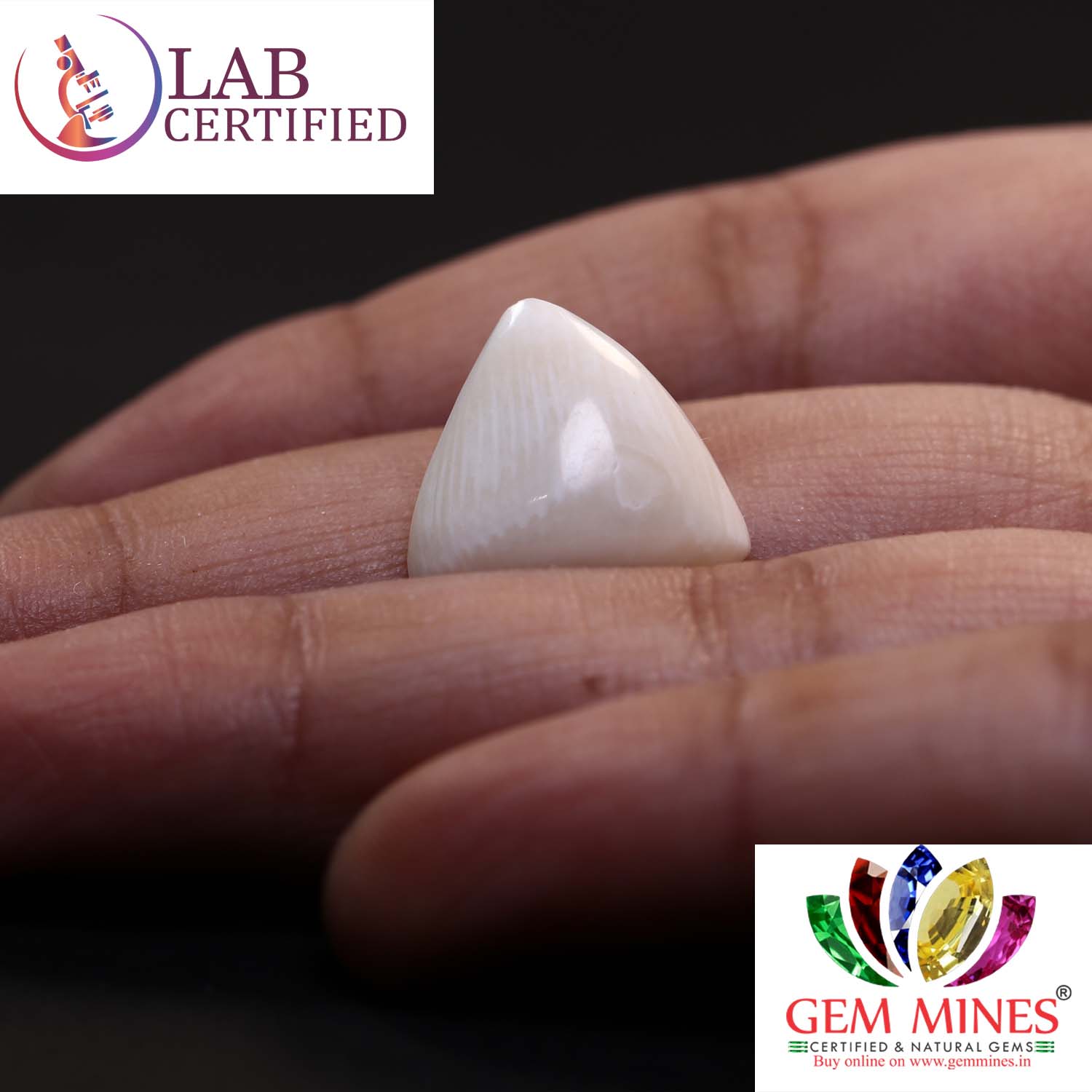 White Coral 9.15 Ct.