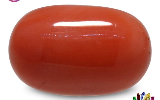Coral 17.78 Ct.