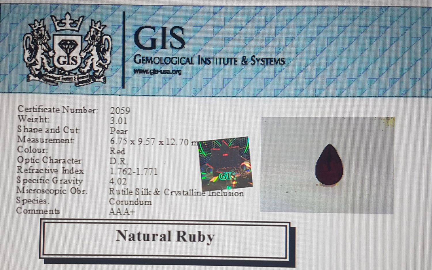 Ruby 3.01 Ct.
