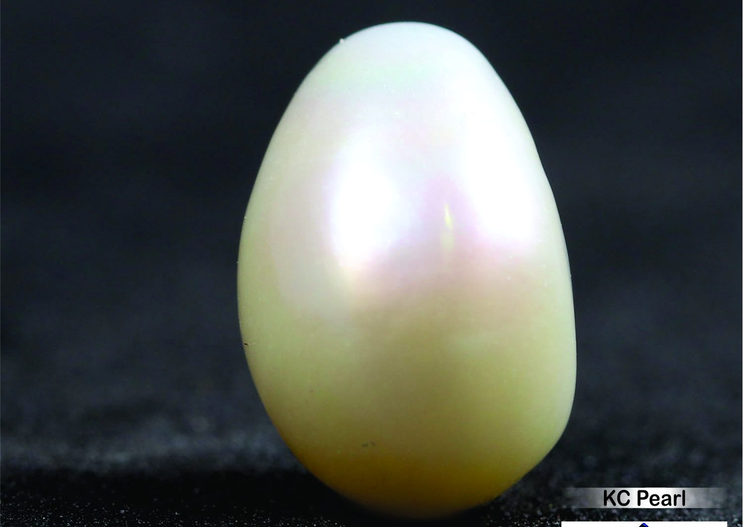 Pearl (South Sea) 7.27 Ct.