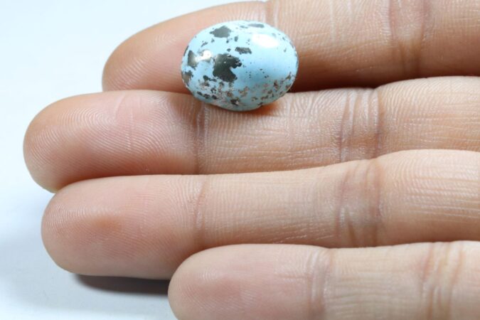 Turquoise (Irani) 11.69 Ct.
