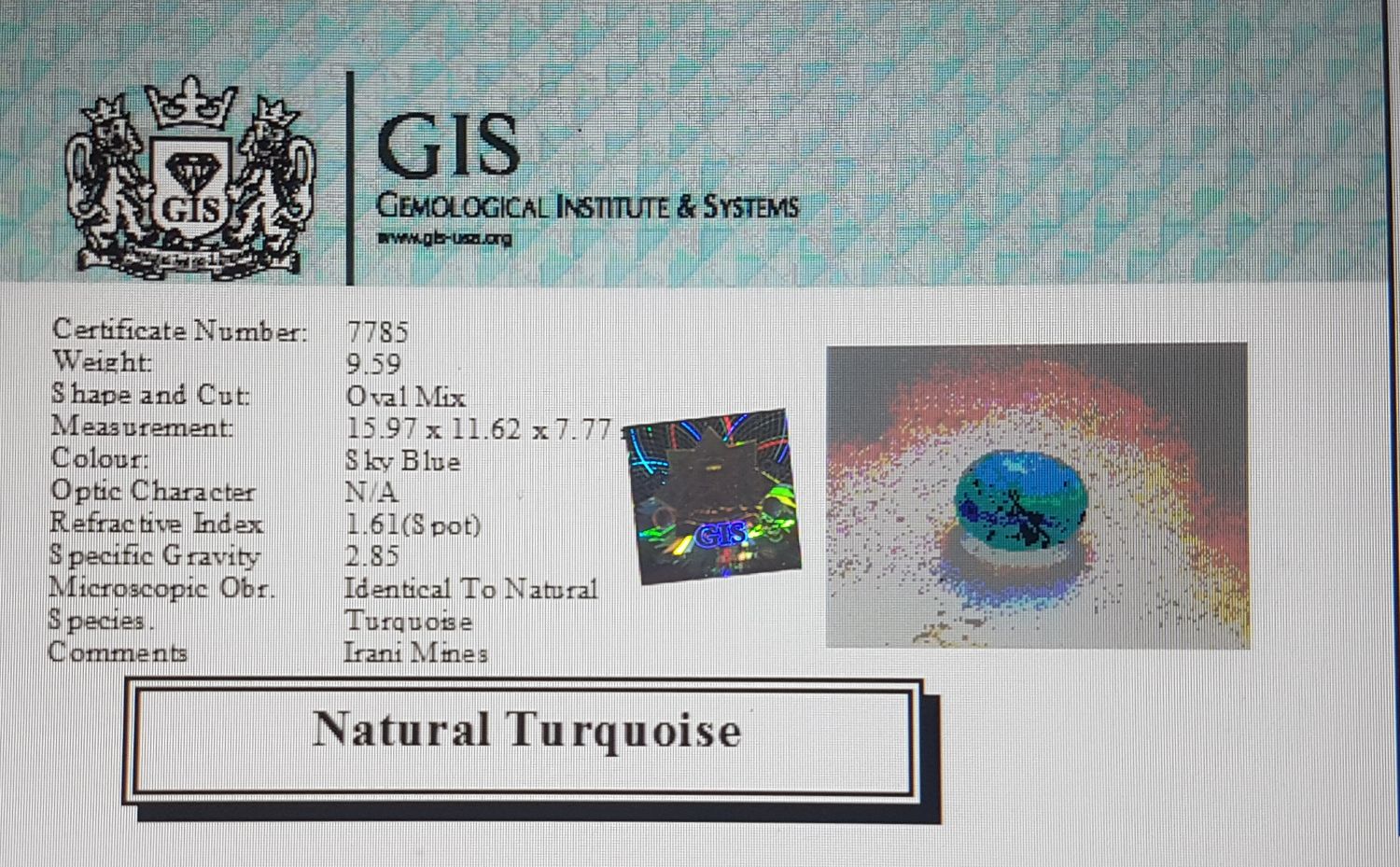 Turquoise (Irani) 9.59 Ct.