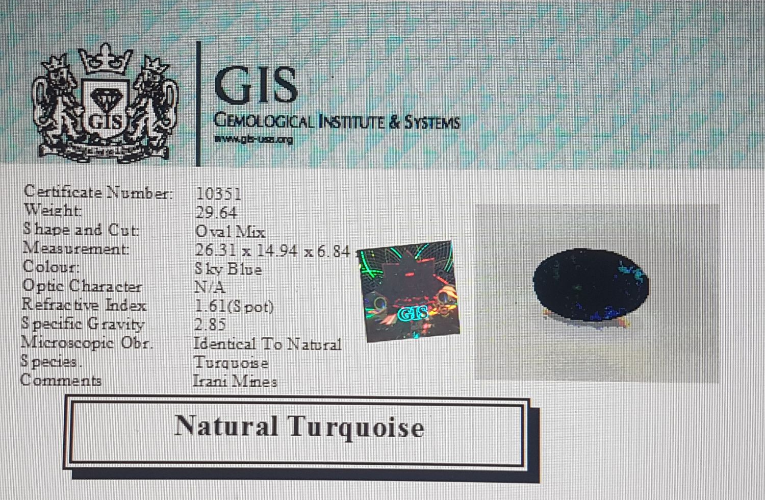 Turquoise (Irani) 29.64 Ct.