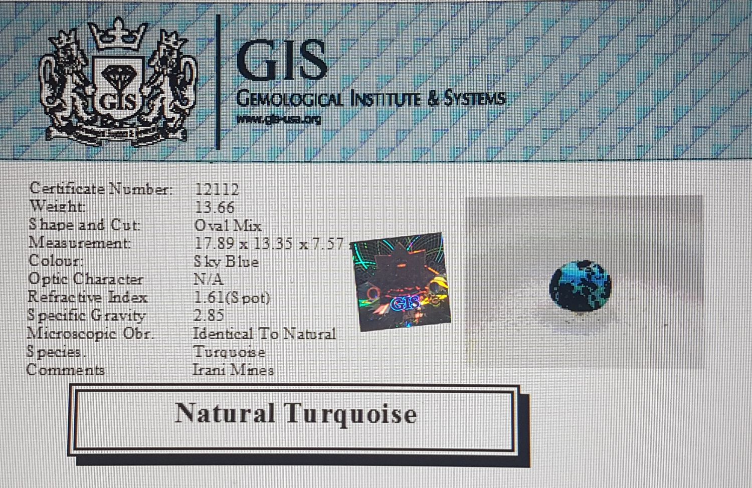 Turquoise (Irani) 13.66 Ct.