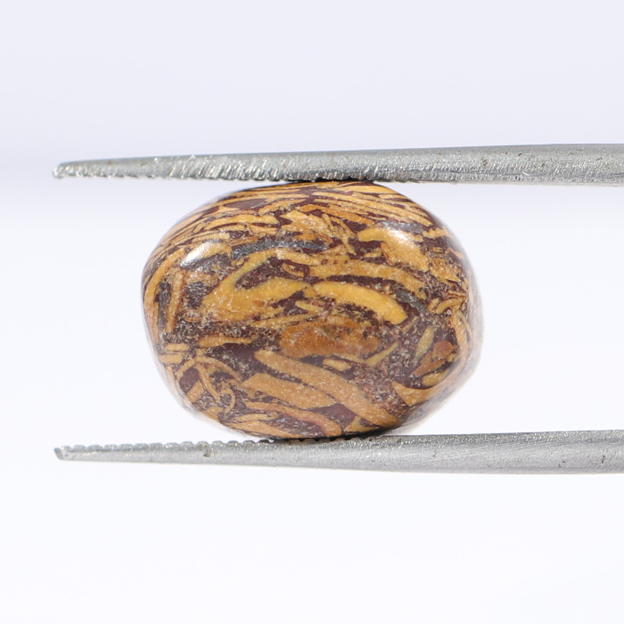 JASPER 9.8 Ct.