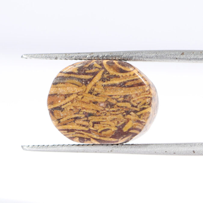 JASPER 9.8 Ct.