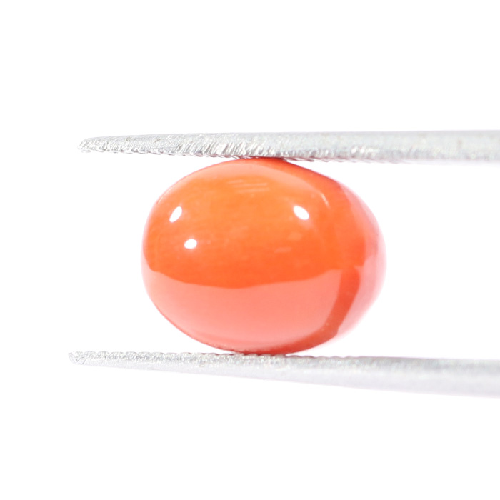 CORAL 4.18 Ct.