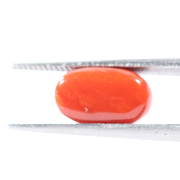 CORAL 3.37 Ct.
