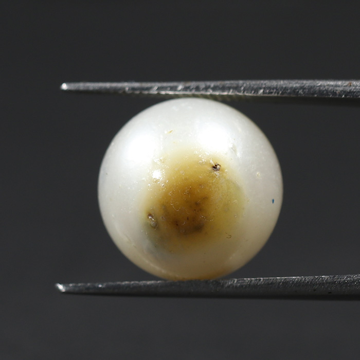 SOUTH SEA PEARL 13.56 Ct. SOUTH SEA PEARL 13.56 Ct.