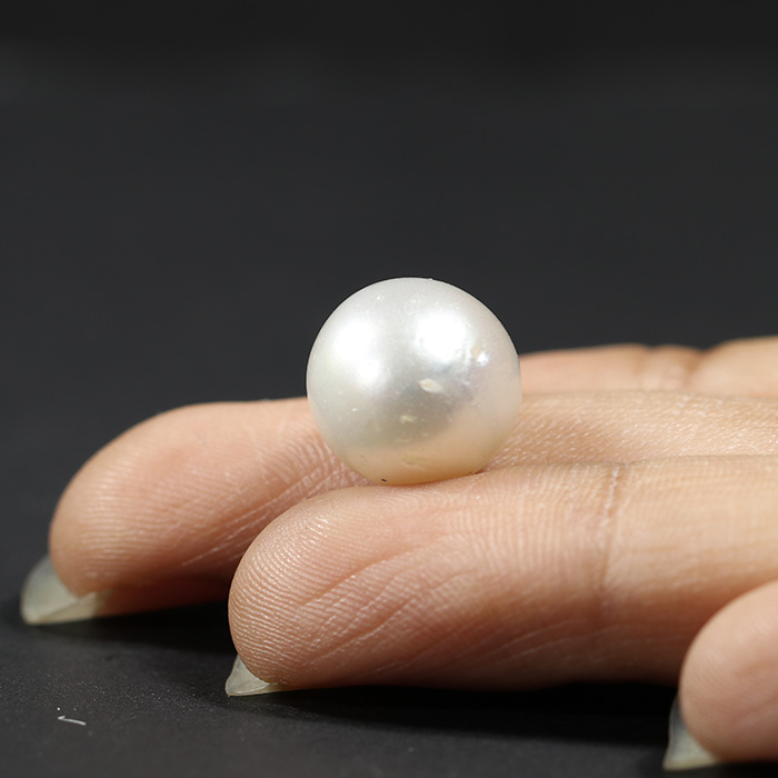 SOUTH SEA PEARL 13.56 Ct. SOUTH SEA PEARL 13.56 Ct.