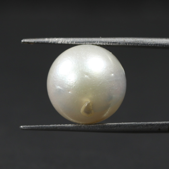 SOUTH SEA PEARL 15.67 Ct.
