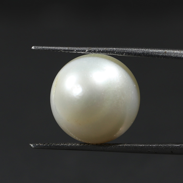 SOUTH SEA PEARL 16.32 Ct.