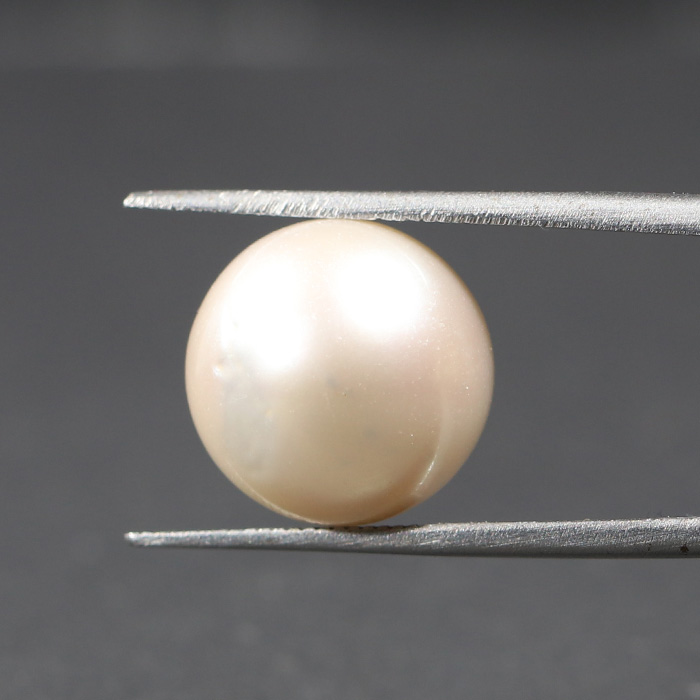 SOUTH SEA PEARL 13.22 Ct.