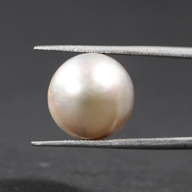 SOUTH SEA PEARL 15.52 Ct.