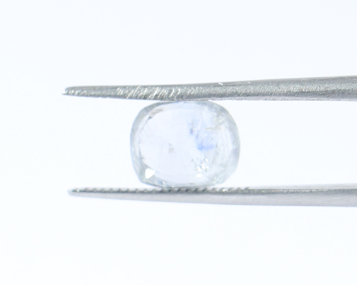 Natural Sapphire 2.44 Ct.