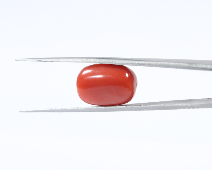 Coral 13.55 Ct.