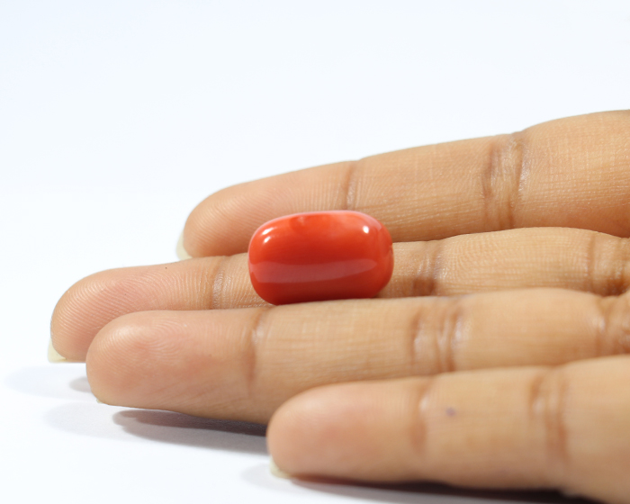 Coral 13.55 Ct.