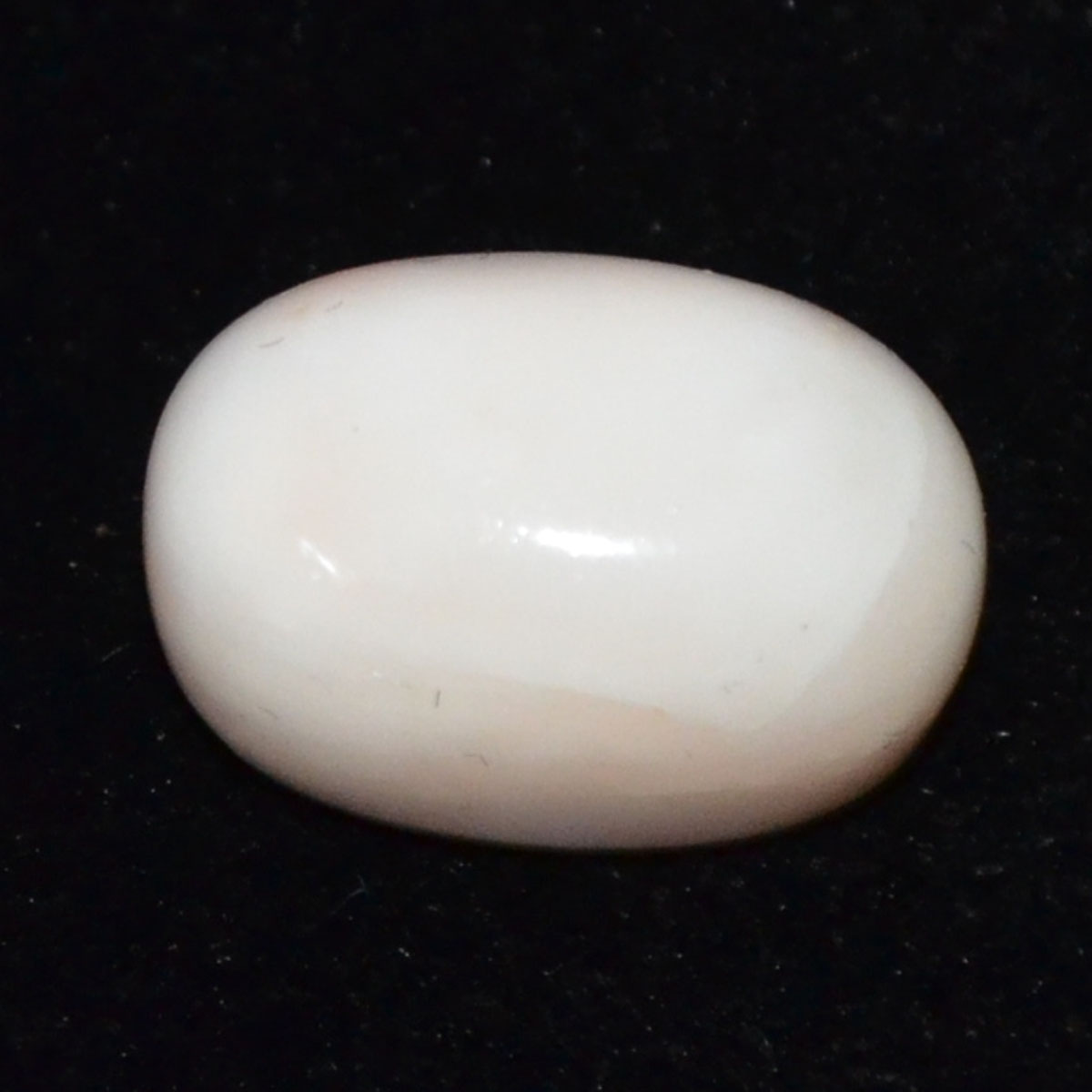 CORAL 13.84 Ct.