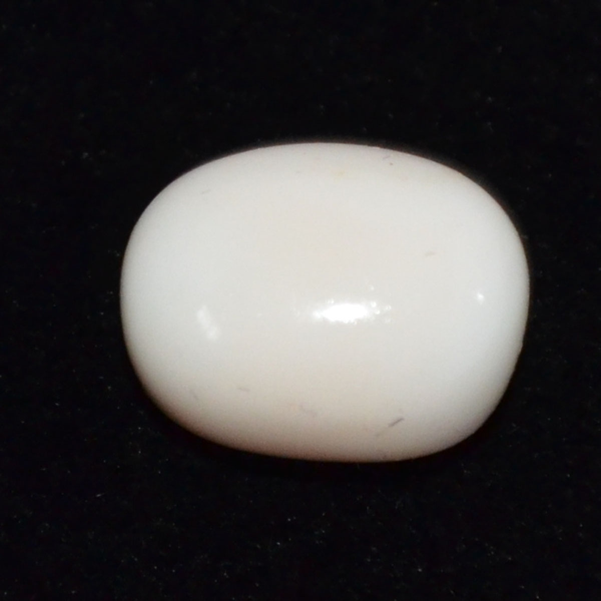 CORAL 11.82 Ct.