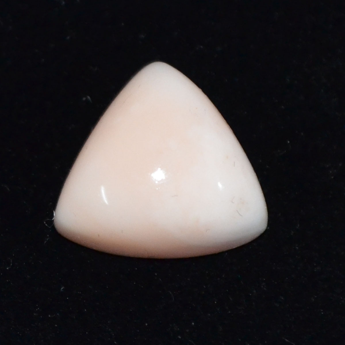 CORAL 16.48 Ct.