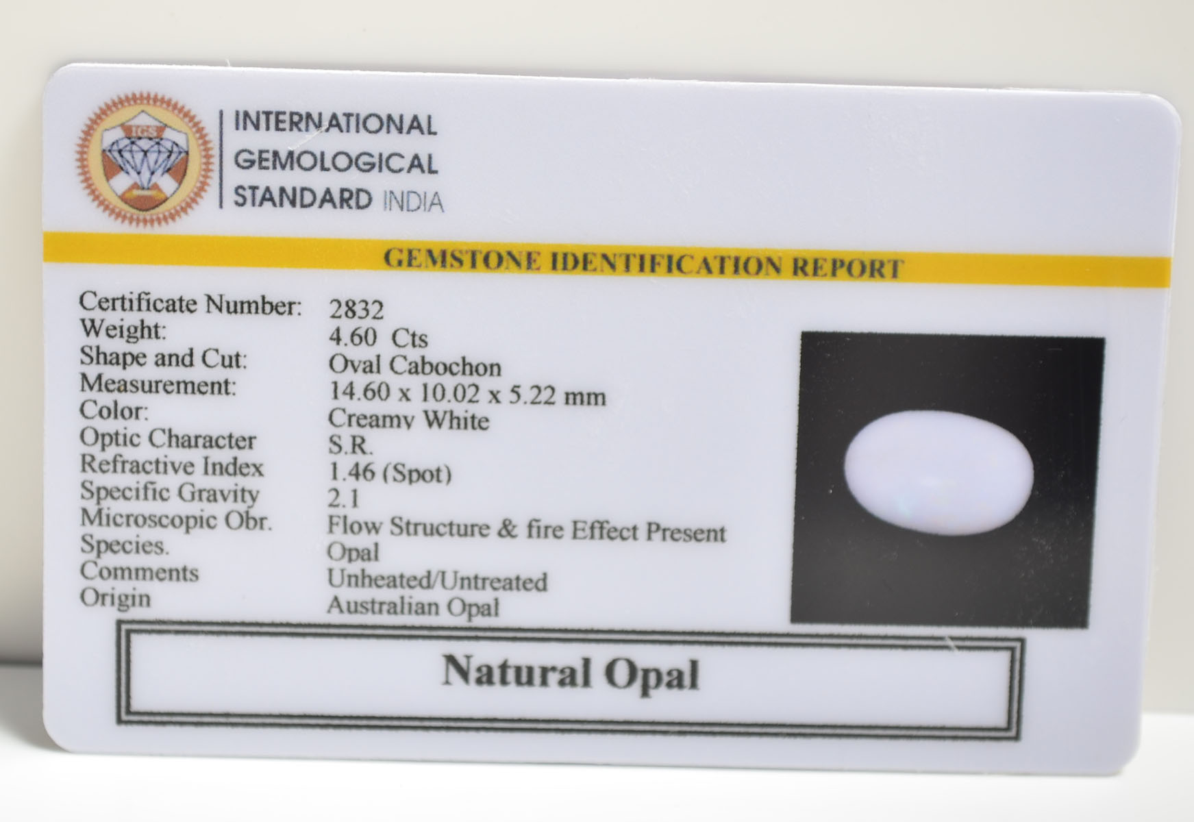OPAL 4.6 Ct.