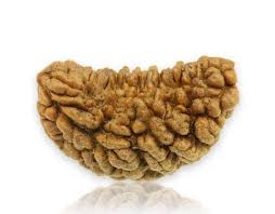 1 MUKHI Kaju (Premium)