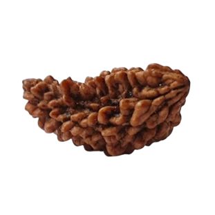1 MUKHI Kaju (Unique Price)