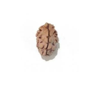 2 MUKHI North India (Himalaya) Premium