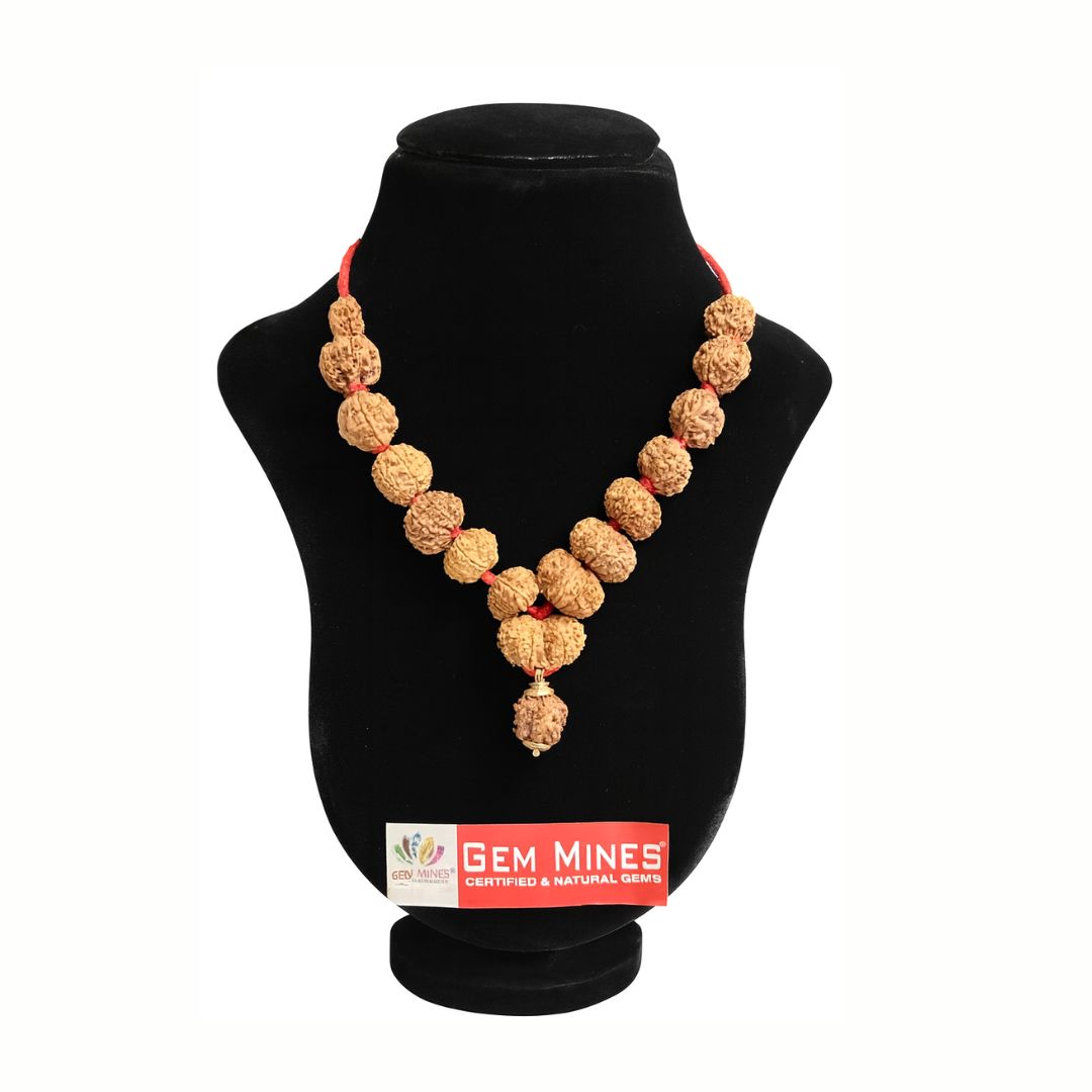 Sidh Nepali Rudraksha Mala Regular